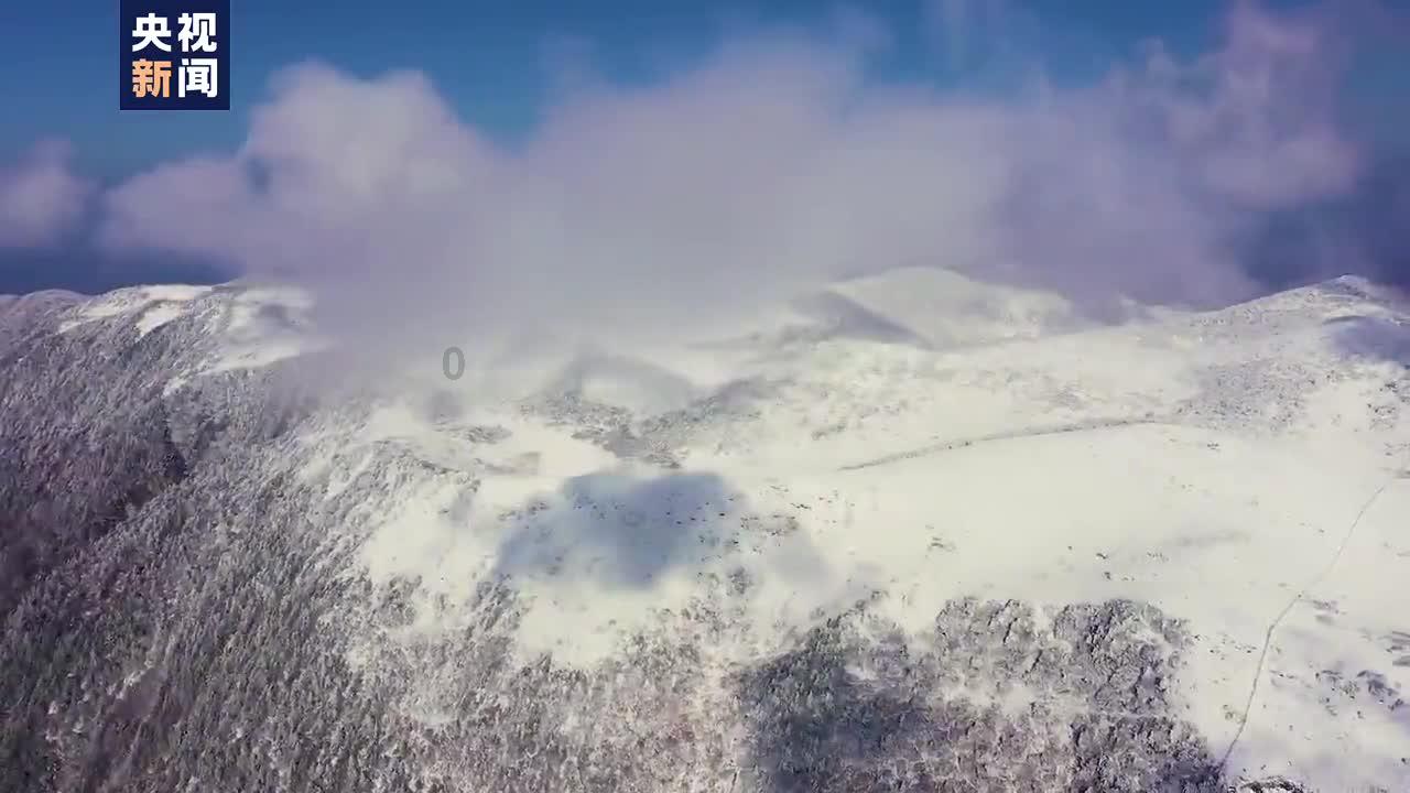 儿童画板涂色