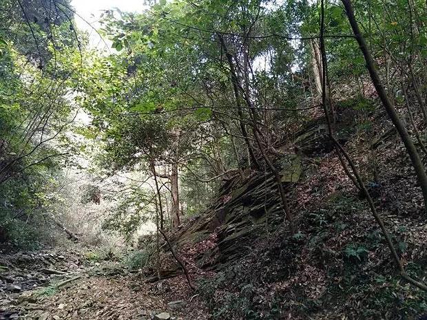 小锯鳄卡丁车竞赛
