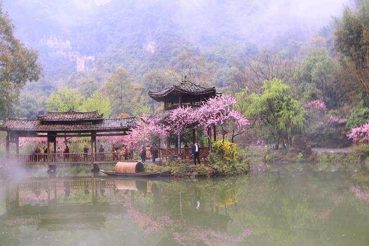 悬案：刹那惊颤