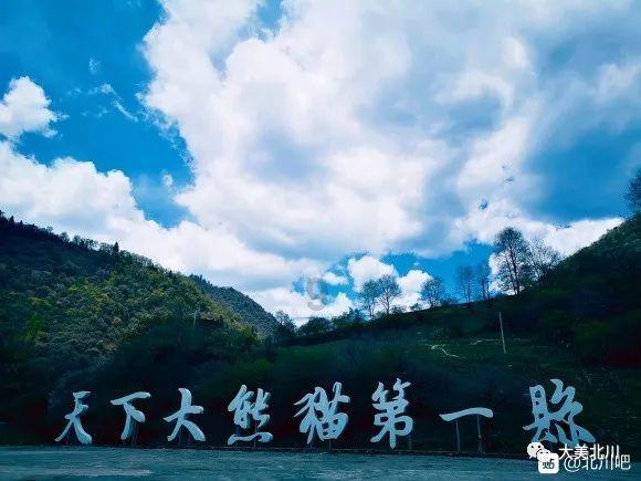 工业用钢制翅片管对流散热器