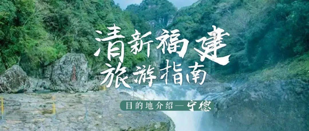 逃离幽灵之林