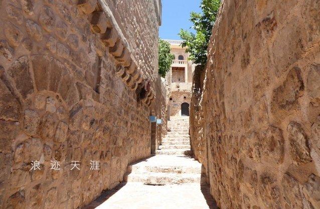 《浪姐5》举荐计划褒贬不一,16人主动争取,杨颖解封后或加盟