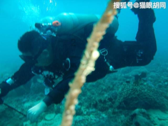 福寿园荣获第十三届中国公益节“年度教育公益贡献奖”