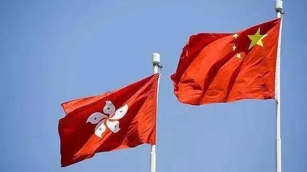 动物帮帮忙保卫家园