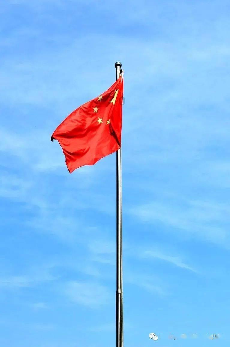 “木头姐”:全力支持马斯克获得特斯拉25%投票权