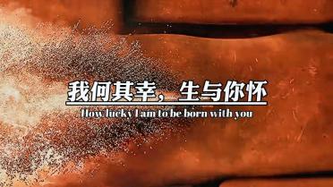 国王的坐骑