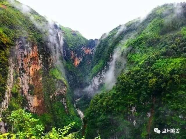 小仓鼠吃瓜子