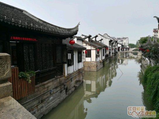 怎样做萝卜汤简单好喝游戏画面
