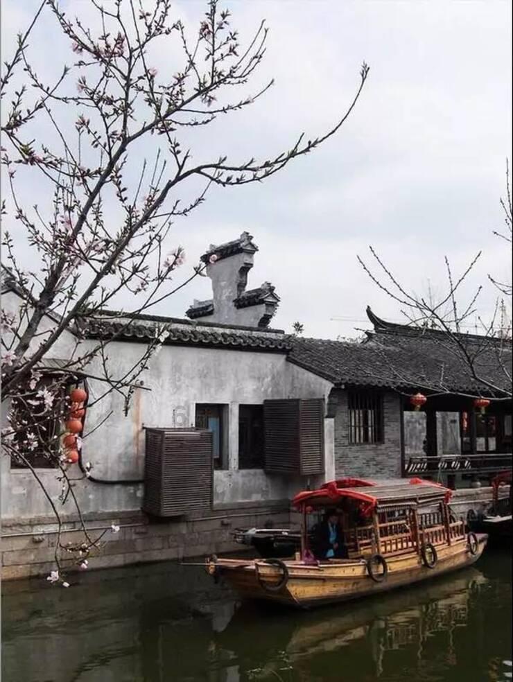 重温岭南爵士音乐会,苍海湖冬日浪漫不散场
