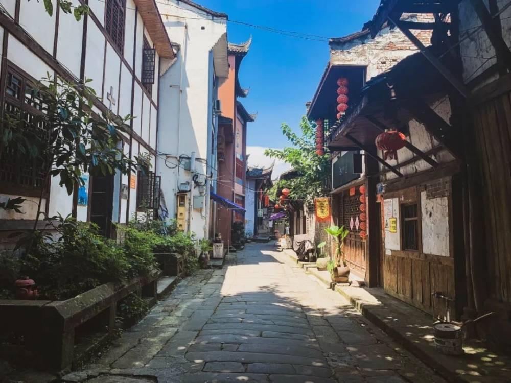 解救金刚鹦鹉